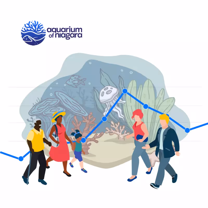 Case Study: How the Aquarium of Niagara used an occupancy counting solution with timed entry ticketing to increase visitor numbers.